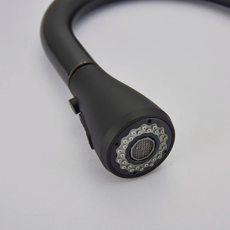 Rozin Pull Out Gourmet Kitchen Faucet Tap SUS304 Black Single Handle Kitchen Sink Mixer Tap 2 in 1 Spout Hot Cold Water Crane