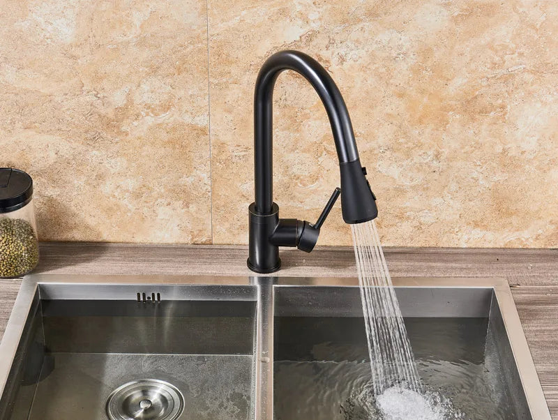 Rozin Pull Out Gourmet Kitchen Faucet Tap SUS304 Black Single Handle Kitchen Sink Mixer Tap 2 in 1 Spout Hot Cold Water Crane
