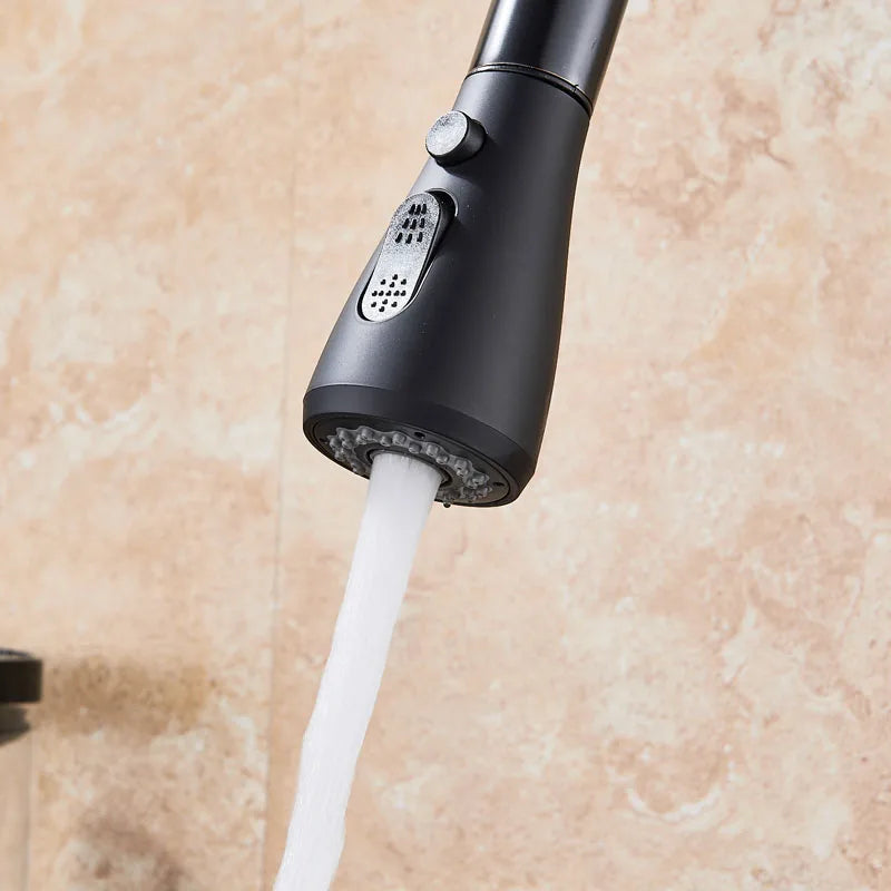 Rozin Pull Out Gourmet Kitchen Faucet Tap SUS304 Black Single Handle Kitchen Sink Mixer Tap 2 in 1 Spout Hot Cold Water Crane