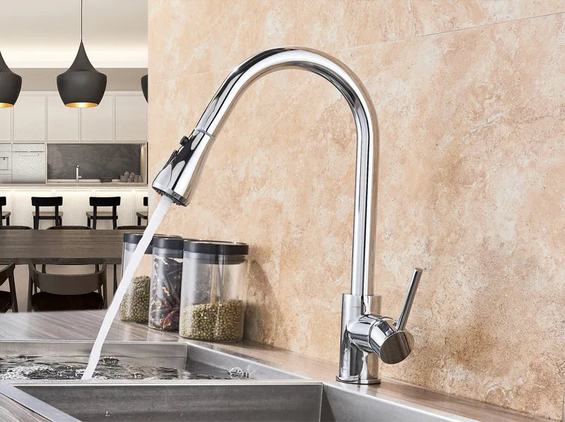 Rozin Pull Out Gourmet Kitchen Faucet Tap SUS304 Black Single Handle Kitchen Sink Mixer Tap 2 in 1 Spout Hot Cold Water Crane