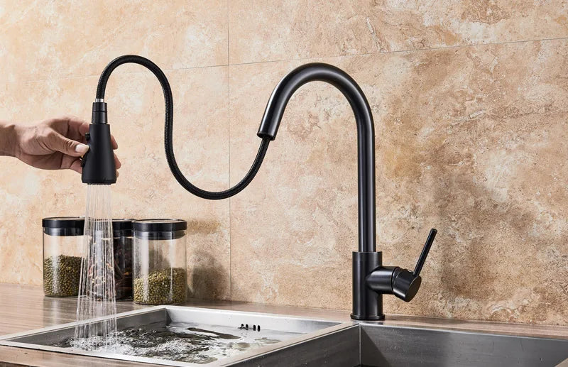 Rozin Pull Out Gourmet Kitchen Faucet Tap SUS304 Black Single Handle Kitchen Sink Mixer Tap 2 in 1 Spout Hot Cold Water Crane