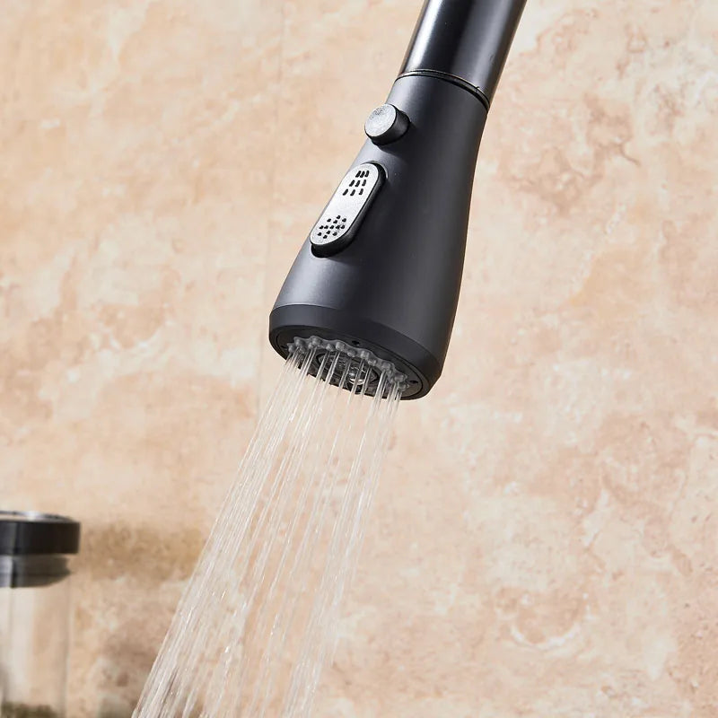 Rozin Pull Out Gourmet Kitchen Faucet Tap SUS304 Black Single Handle Kitchen Sink Mixer Tap 2 in 1 Spout Hot Cold Water Crane