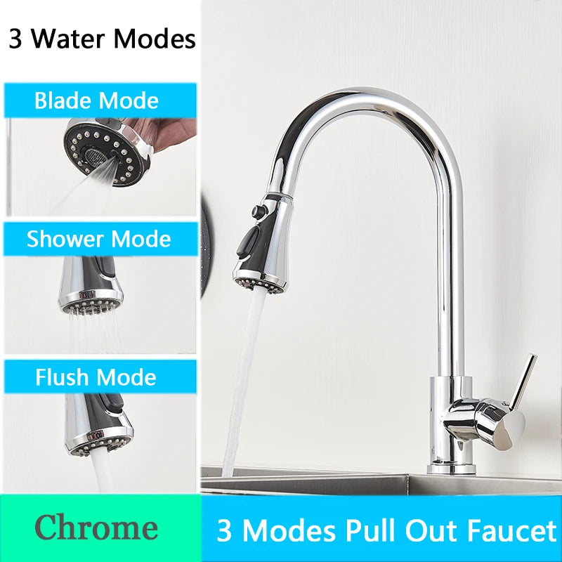 Rozin Pull Out Gourmet Kitchen Faucet Tap SUS304 Black Single Handle Kitchen Sink Mixer Tap 2 in 1 Spout Hot Cold Water Crane