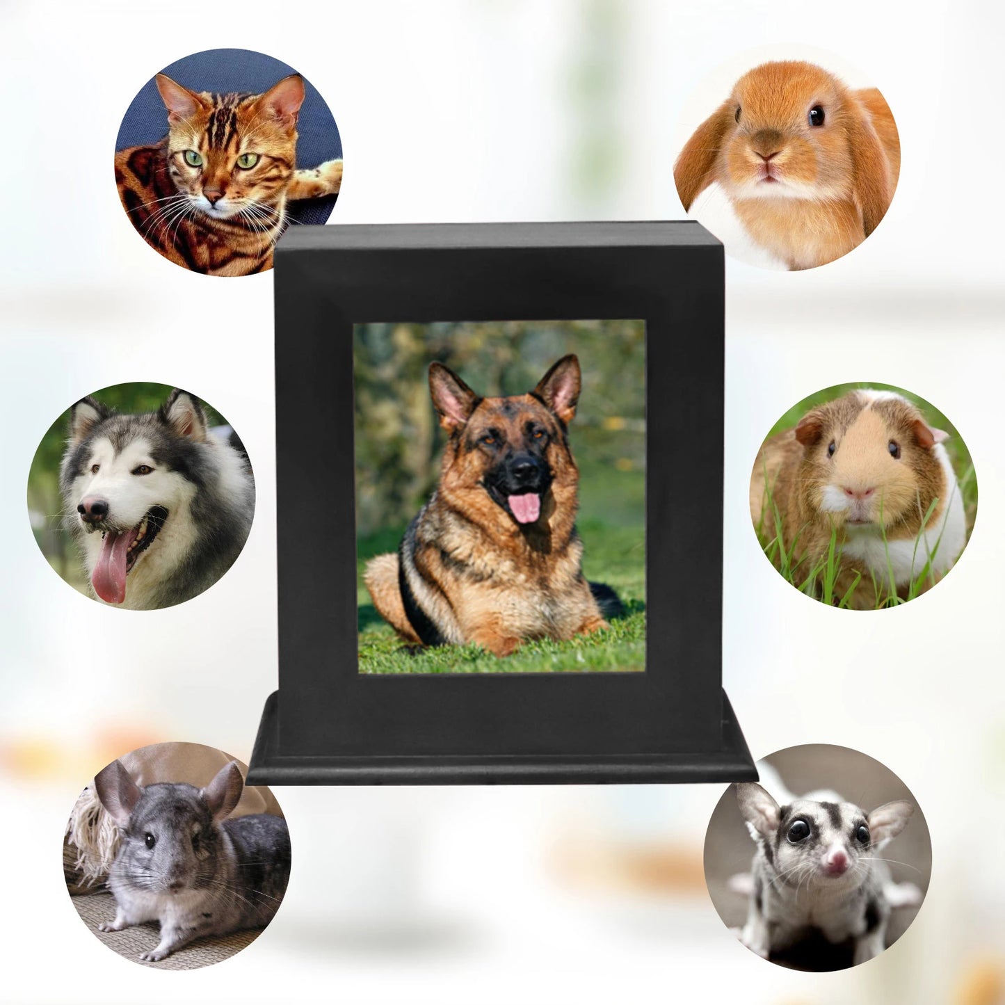 Urns funeral supplies animal dog cat wood pet cremation cinerary casket urn ashes box memorial gifts